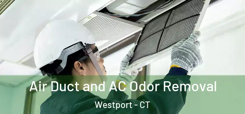 Air Duct and AC Odor Removal Westport - CT