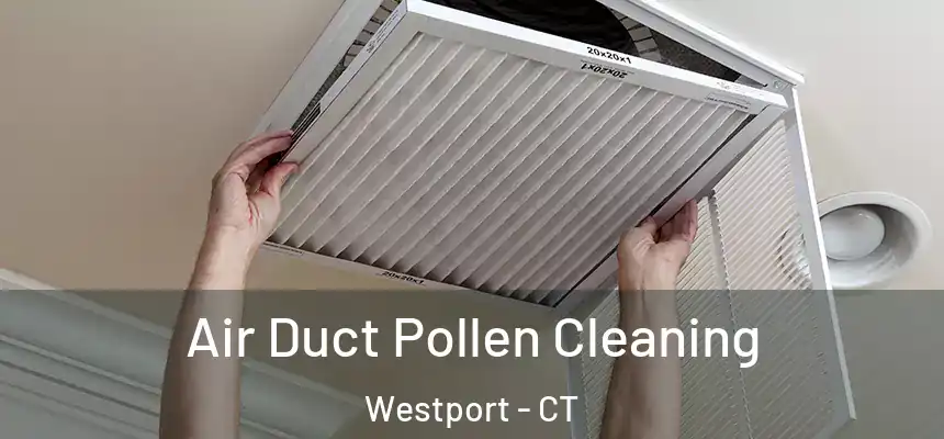  Air Duct Pollen Cleaning Westport - CT