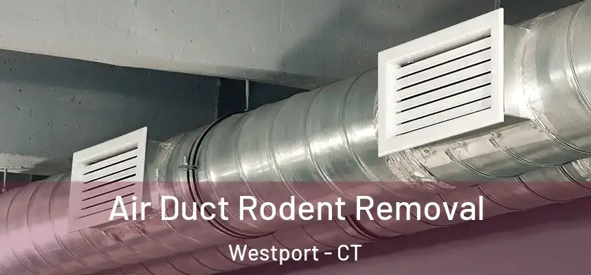  Air Duct Rodent Removal Westport - CT