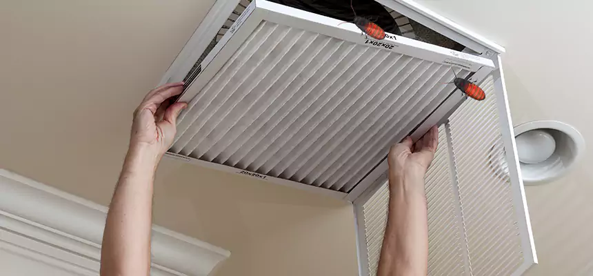Preventive Cockroach-Proofing for Ducts in Westport