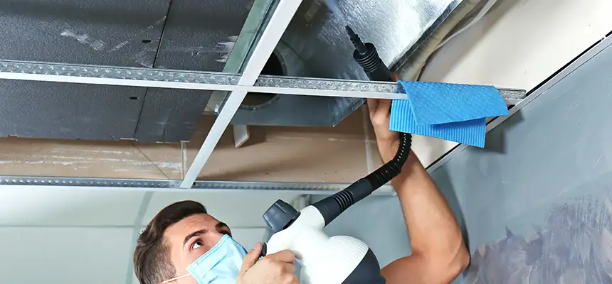 Our Air Duct Rodent Removal Services in Westport, CT