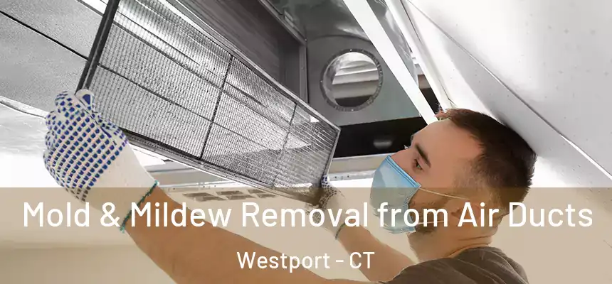  Mold & Mildew Removal from Air Ducts Westport - CT