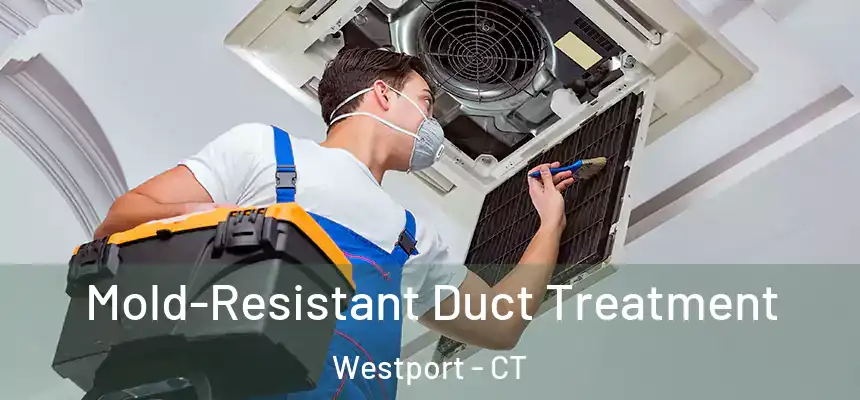  Mold-Resistant Duct Treatment Westport - CT