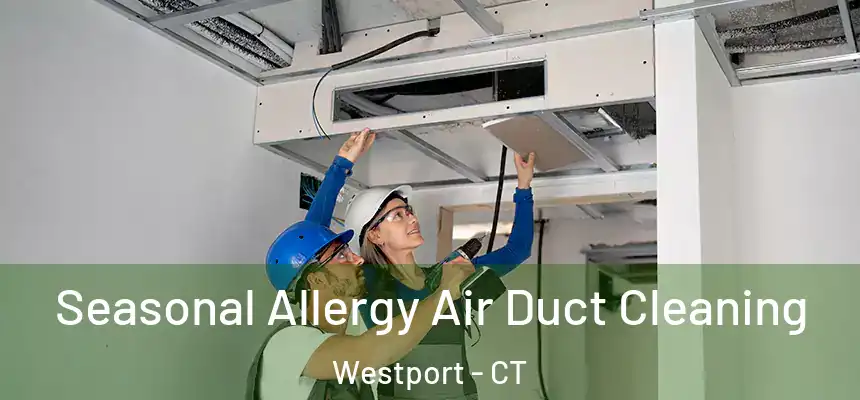  Seasonal Allergy Air Duct Cleaning Westport - CT