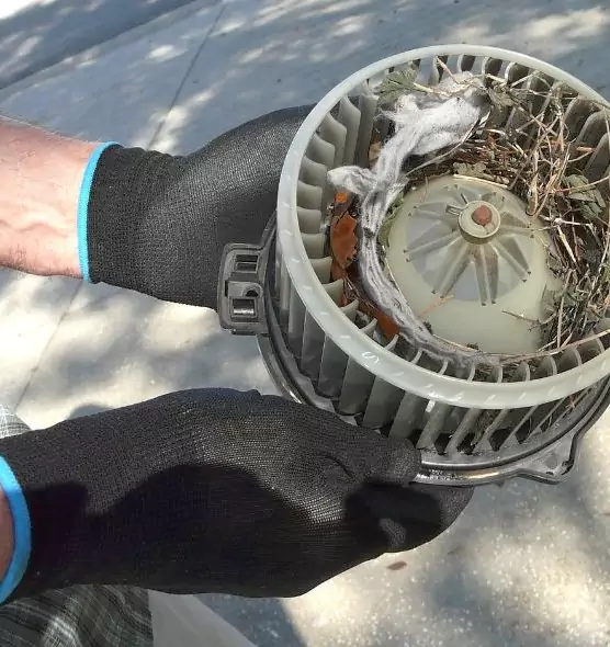 About Air Duct Mice Removal in Westport, CT