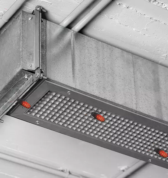 Affordable Insect Removal from Air Ducts in Westport, CT