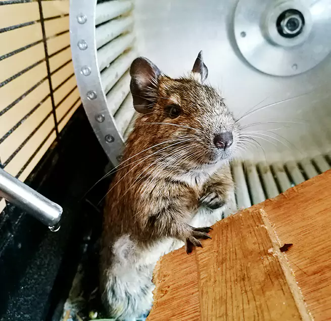 Why Homeowners & Businesses Trust Us Westport, CT