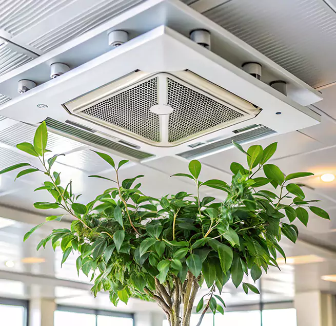 Why Homeowners & Businesses Trust Us in Westport, CT?