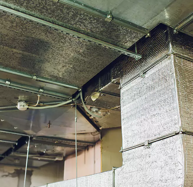 Why Homeowners & Businesses Trust Us in Westport, CT?