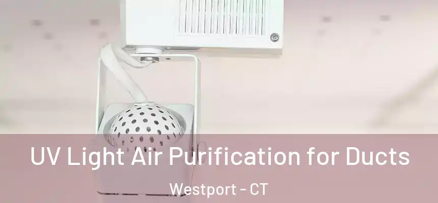  UV Light Air Purification for Ducts Westport - CT